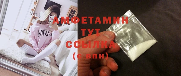 крисы Алзамай