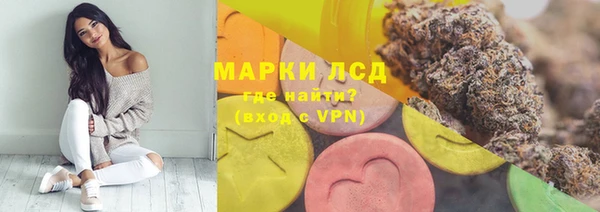 крисы Алзамай