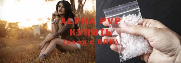 крисы Алзамай