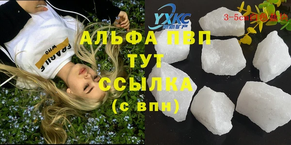 крисы Алзамай