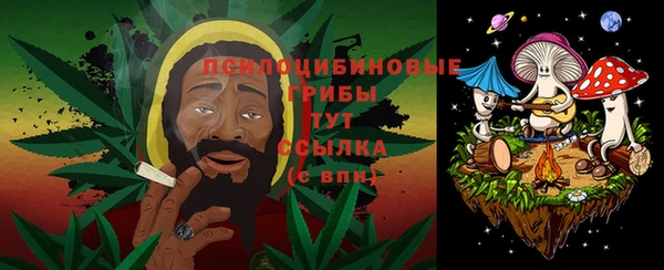 крисы Алзамай