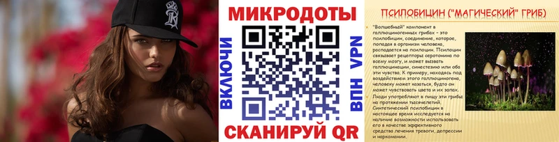 darknet официальный сайт  Асино  Псилоцибиновые грибы Psilocybine cubensis  хочу наркоту 