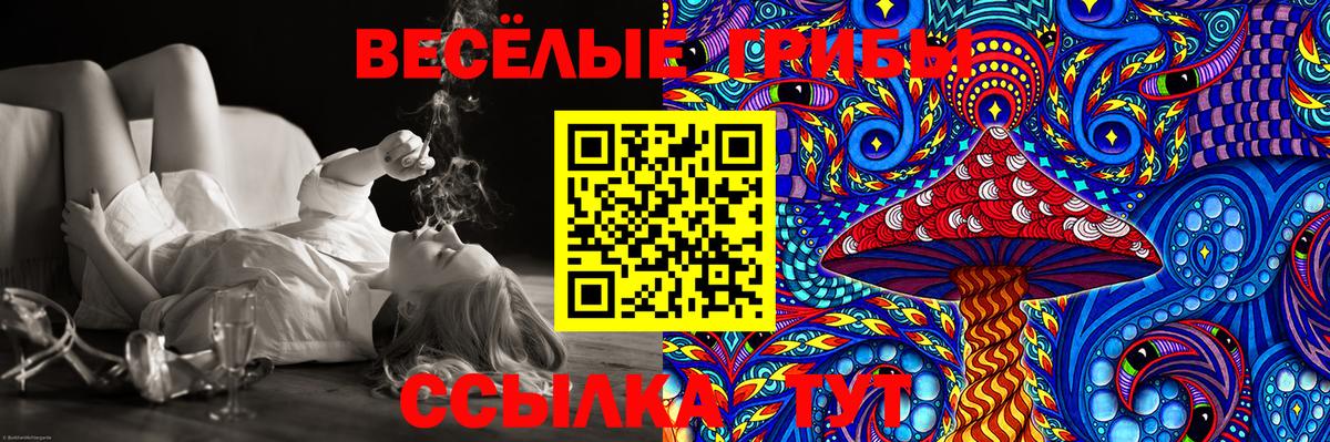 Псилоцибиновые грибы MAGIC MUSHROOMS  Вход с VPN  Асино  Галлюциногенные грибы прущие грибы 