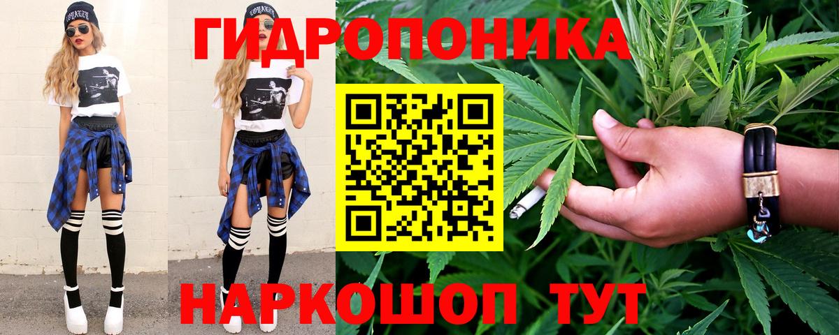 Шишки марихуана план  Конопля индика  Асино  МАРИХУАНА ГИДРОПОН  Вход с VPN 